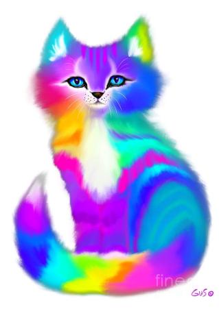 fluffy-rainbow-kitten-nick-gustafson.jpg